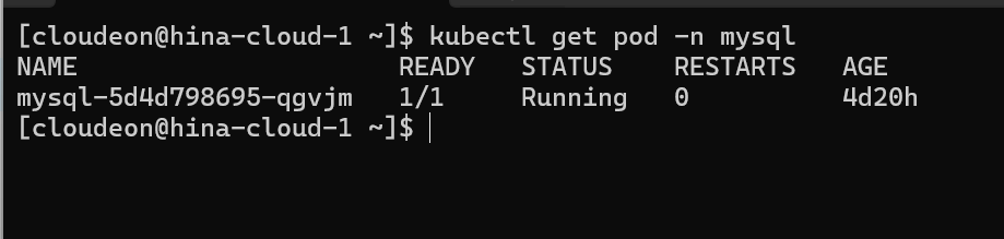 执行 kubectl 命令查看 mysql 容器截图